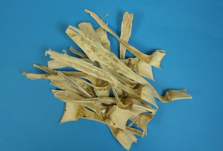 imagine produs Agave mini