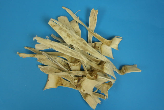 imagine produs Agave mini