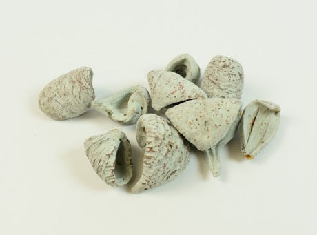 imagine produs Lali vopsit albastru dechis