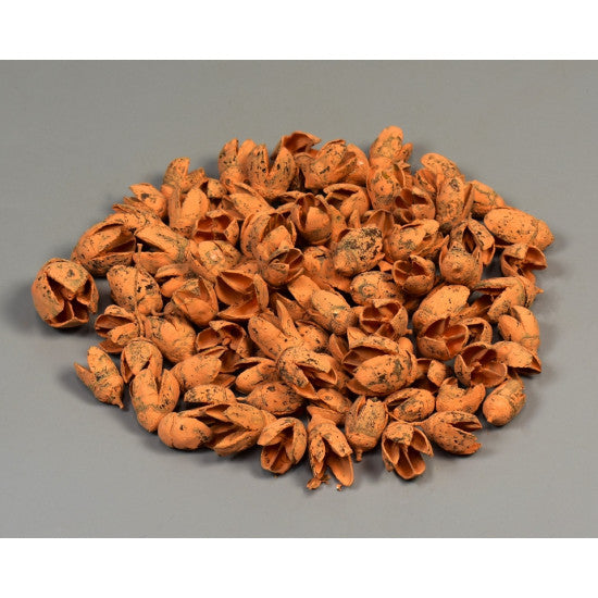 Bakuli vopsit piersica