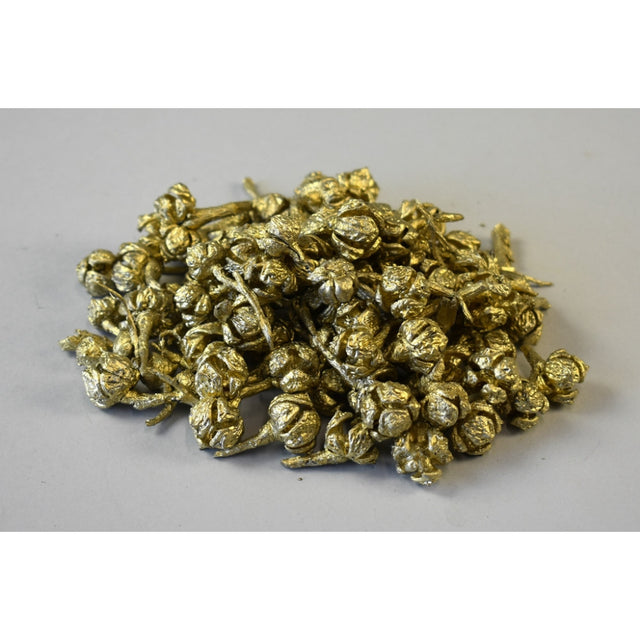 Chiorchine chiparos auriu