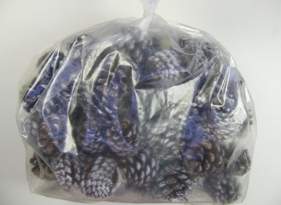 imagine produs Conuri de pin India 1kg inzapezit