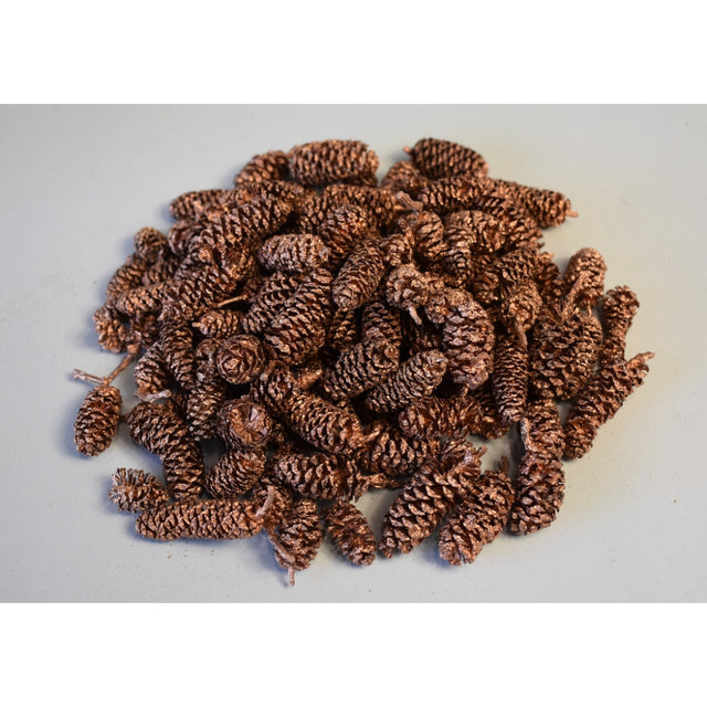 Fructe arini indiane bronz