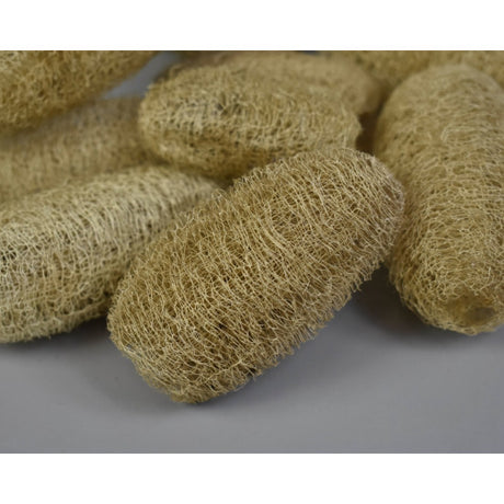 Luffa 8-10cm natur