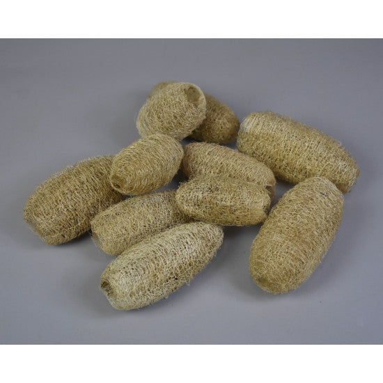 Luffa 8-10cm natur