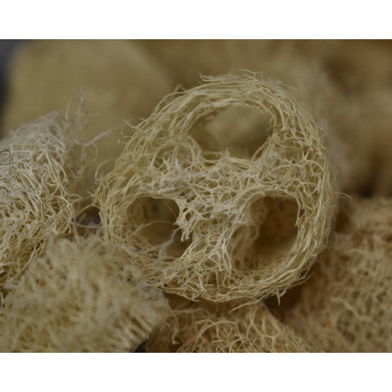 Felii de luffa 1,5cm natur