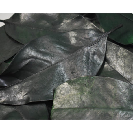 Frunze de magnolie prep. verde inchis