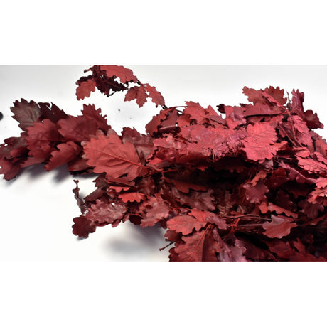 imagine produs Ramura de stejar prep.rosu