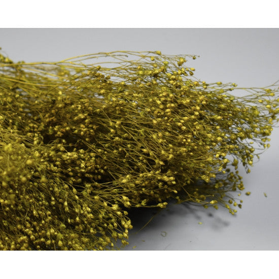 Broom Bloom 100g verde deschis