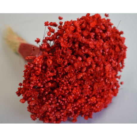 Glixia marcela 75g rosu