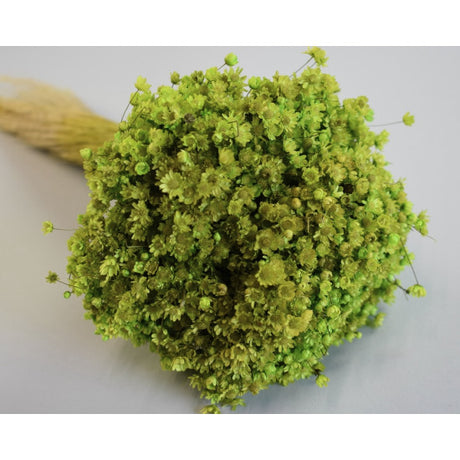 Glixia marcela 75g verde deschis