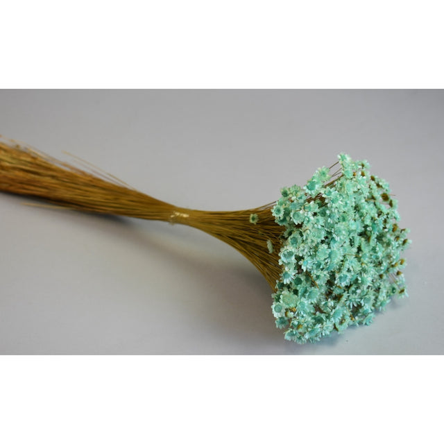 Glixia 50gr aqua