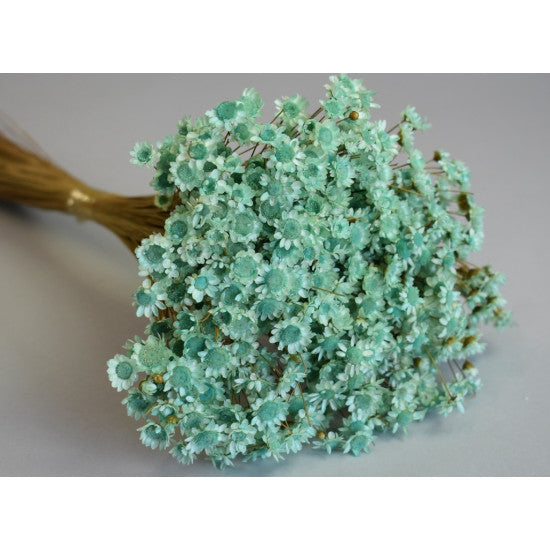 Glixia 50gr aqua