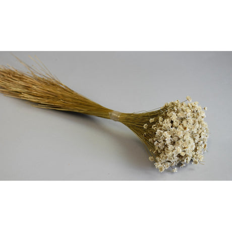 imagine produs Glixia 50g natur