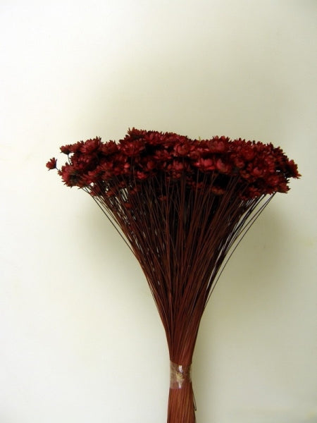 imagine produs Glixia 50gr bordeaux