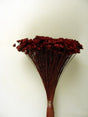 imagine produs Glixia 50gr bordeaux