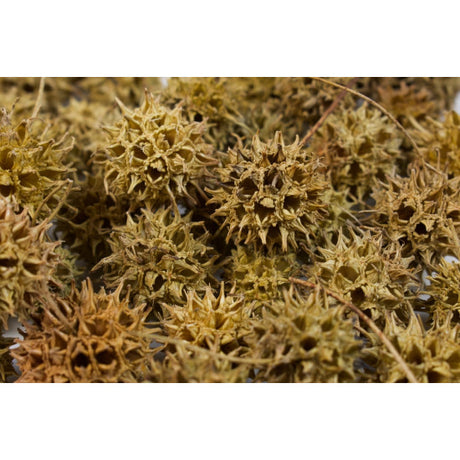 Roade ambra natur