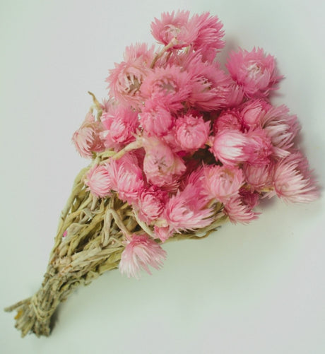 imagine produs Buchet capblume 30-40cm roz deschis