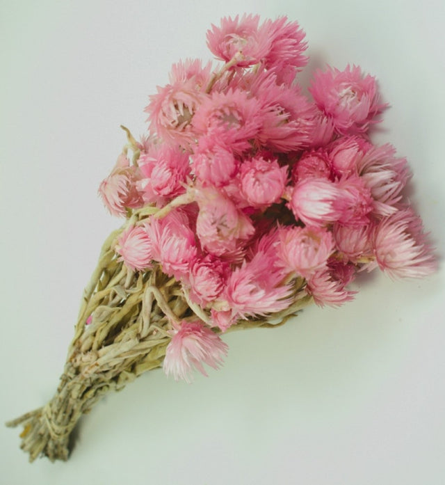 imagine produs Buchet capblume 30-40cm roz deschis