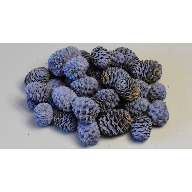 Meridianum vopsit very peri