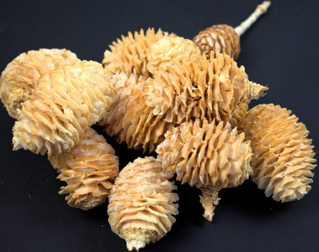 imagine produs Capete murii inalbit