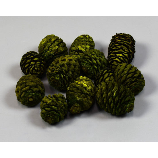 Murii verde deschis