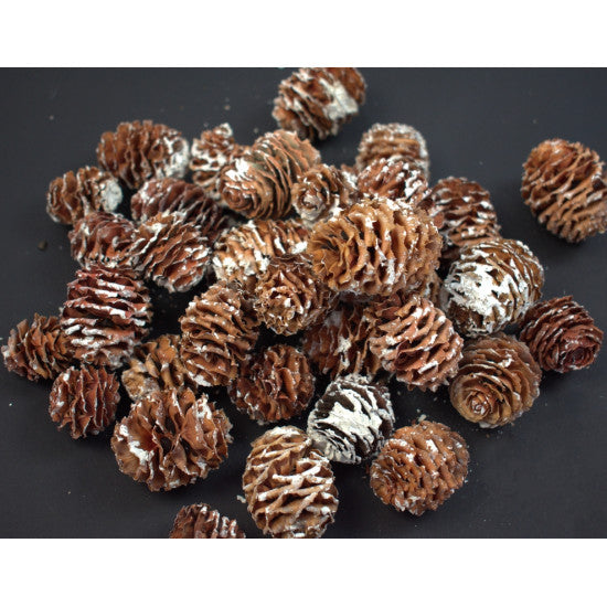 Conuri strictum inzapezit