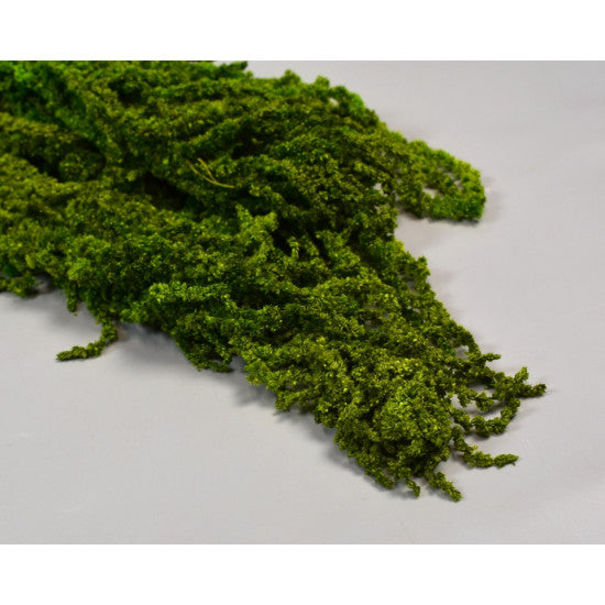 Amaranthus caudatus preparat inalbit verde deschis 2x0.1kg