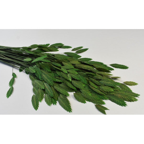 Briza preparat verde deschis