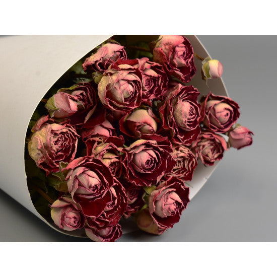 Buchet trandafir uscat