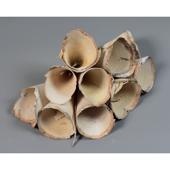 Conuri din mesteacan 8x7cm cu chiciura