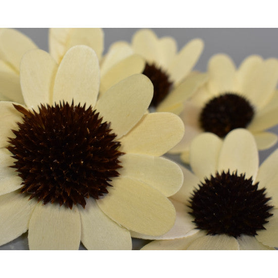 Capete de margarete din lemn 5cm inalbit