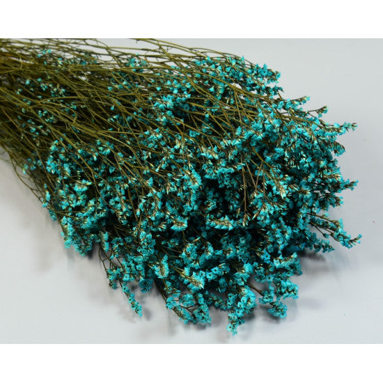 Limonium sinensis preparat albastru