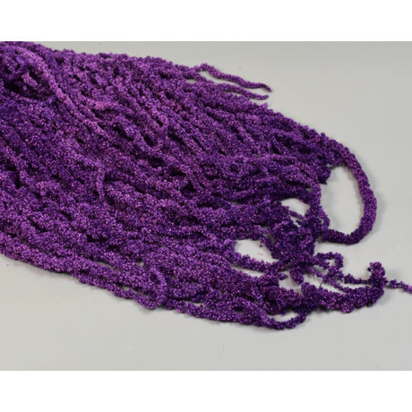 Amaranthus caudatus inalbit mov