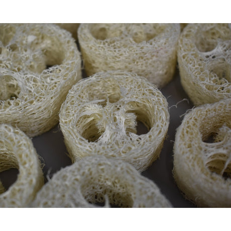 Felii de luffa 2,5cmx5-8cm inalbit