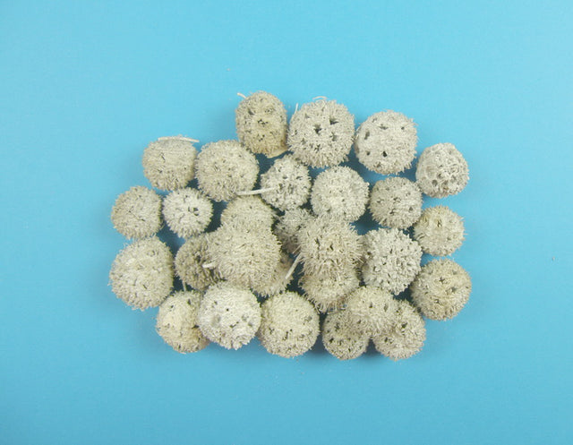 imagine produs Roade ambra vopsit