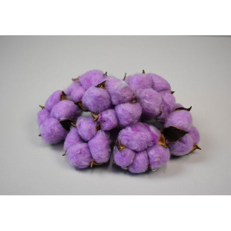 Flori de bumbac mov deschis