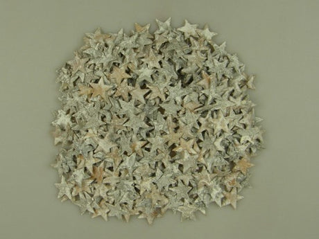 imagine produs Stelute din scoarta de mesteacan 3x3cm