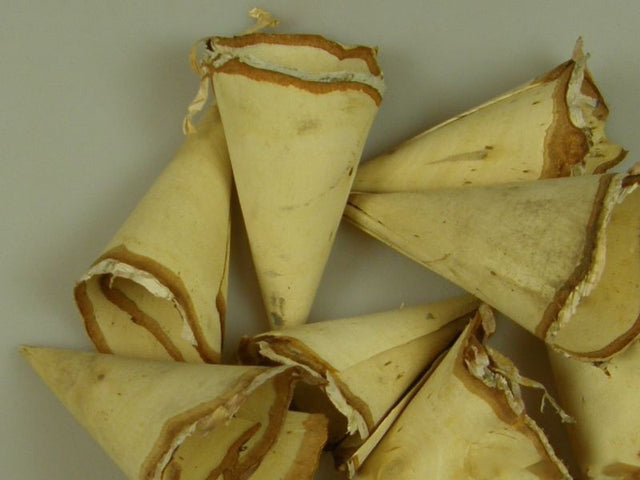 imagine produs Conuri din mesteacan 8x7cm