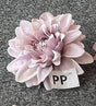 imagine produs Cap dalie 10cm S/12 purple