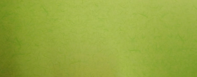 imagine produs Folie polipropilena s/5 verde neon