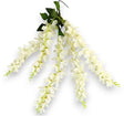 imagine produs Ghirlanda delphinium x5