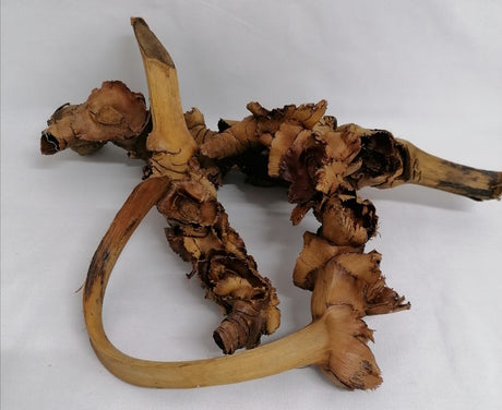 imagine produs Creanga palmier X3.