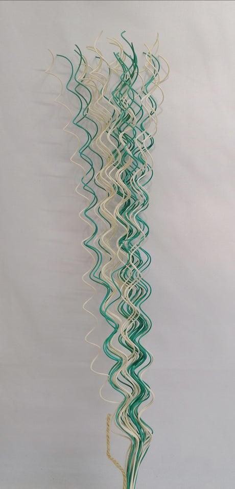 imagine produs Fir curly S/30 aqua-alb