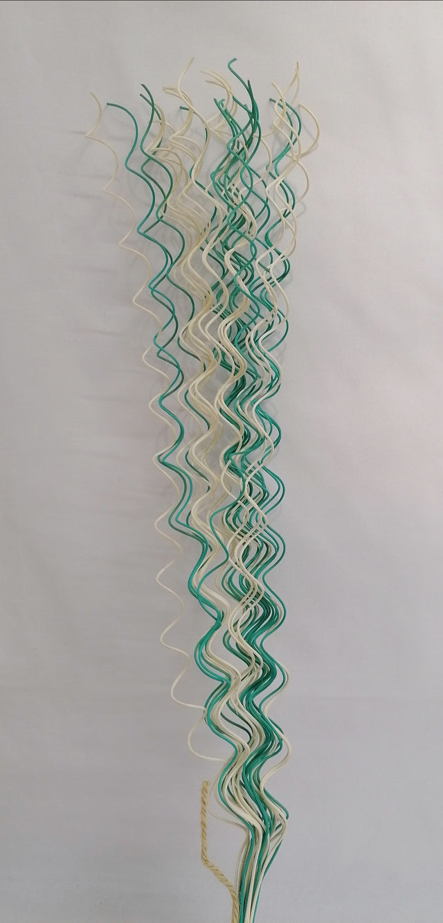 imagine produs Fir curly S/30 aqua-alb