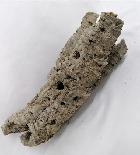 imagine produs Bucati de pluta 620gr.
