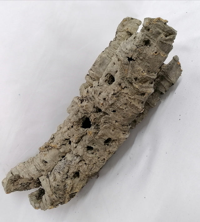 imagine produs Bucati de pluta 620gr.