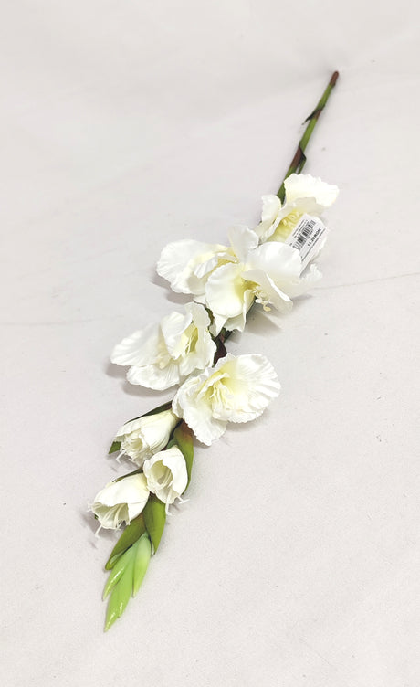 imagine produs Fir gladiola 85cm crem