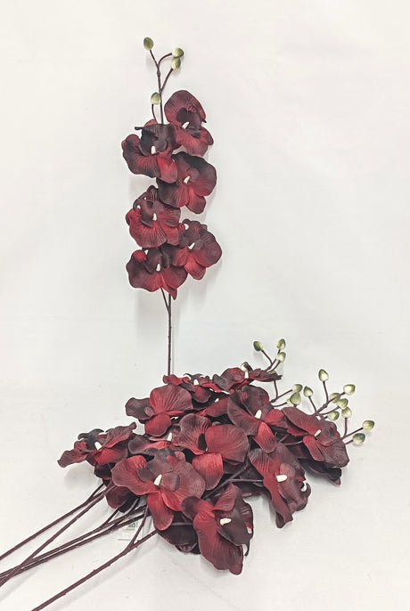 imagine produs Fir orhidee 80cm S/6 bordeaux