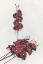 imagine produs Fir orhidee 80cm S/6 bordeaux